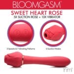 Bloomgasm Sweet Heart Rose 2