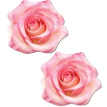 Pastease Premium Glitter Velvet Blooming Rose - O/s
