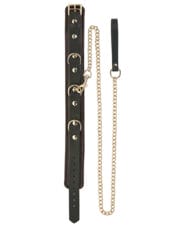 Spartacus Collar & Leash - Brown Leather w-Gold Accent Hardware