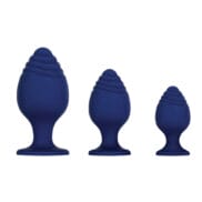 Evolved Get Your Groove Anal Plug Set - Blue