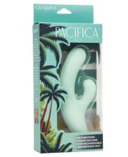 Pacifica Fiji Vibrator