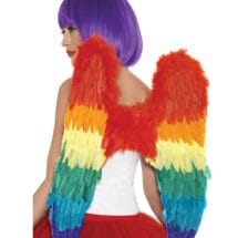 Rainbow Large Feather Wings
