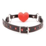 Plesur Heart Ball Gag 3