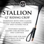 Stallion Riding Crop - 12 Inch 2