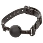 Nocturnal Collection Ball Gag 2