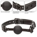 Nocturnal Collection Ball Gag 3