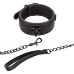 Nocturnal Collection Collar Leash 1