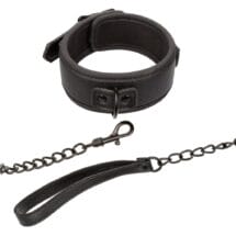 Nocturnal Collar and Leash