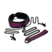 Dragons Lair Collar, Leash and Nipple Clips Set