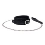 Edge Collar Leash 3