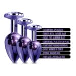 Nixie Metal Butt Plug Trainer Set Purple Metallic 1