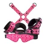 Sinful Vinyl Bondage Kit Pink 2