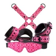 Sinful Vinyl Bondage Kit - Pink