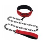 Amor Collar and Leash 3