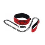 Amor Collar and Leash 4