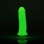 Clone-A-Willy DIY Vibrating Dildo Kit Glow-in-the-Dark 3