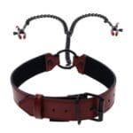 Saffron Collar with Nipple Clamps 3