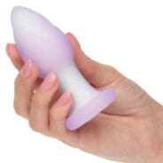 Lavender Haze Ridge Anal Probe